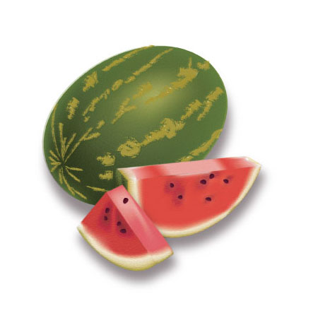 illustration watermelon 1