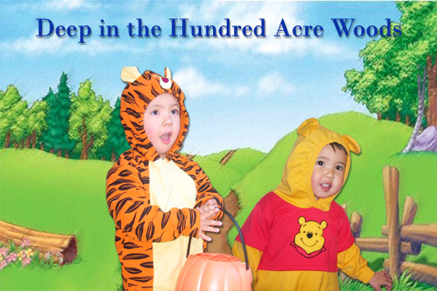 hundred acre woods