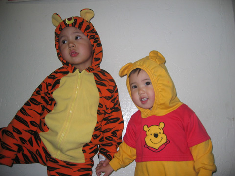 tiger and Pooh 1