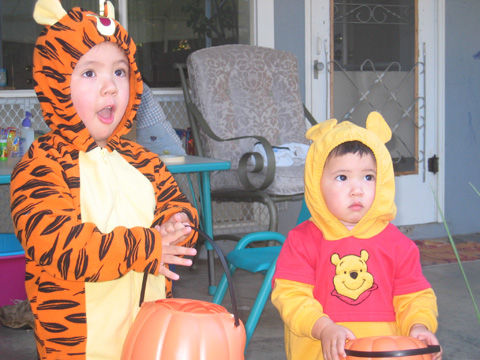 tiger and Pooh 2